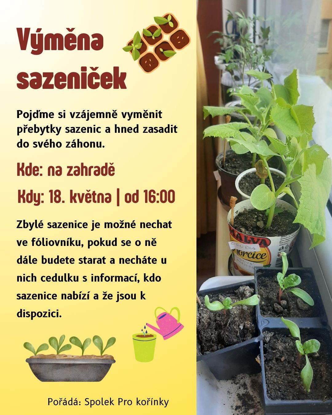 Výměna sazeniček pro členy spolku Pro kořínky.