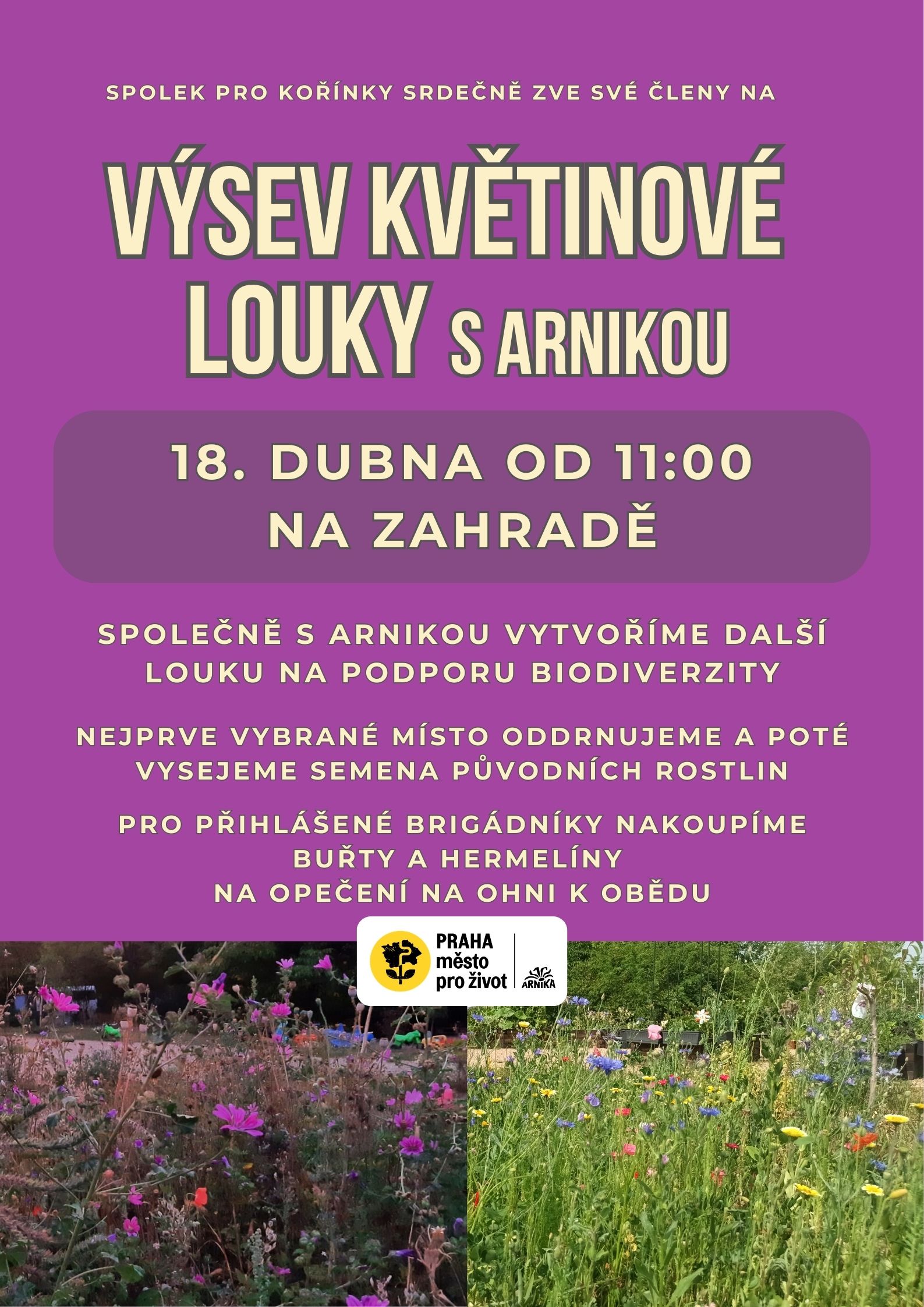 Výsev květinové louky na zahradě Prokopka.